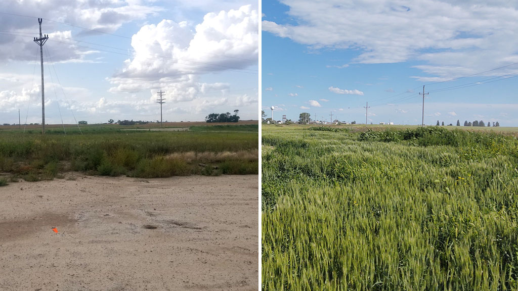 Before and after of the project site